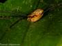 10-2023_Macro
