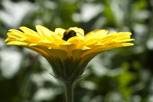 thema_2013_04_024
