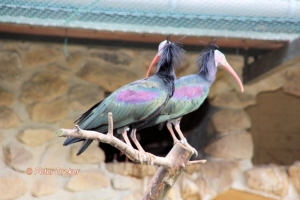 thema_2014_04_004