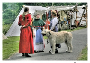 Mittelalterlicher_Markt_2014_07_007