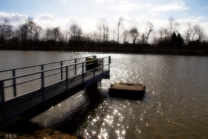 Brücken_Bev_2015_03_026