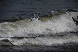 AW_Norderney_2015_07_001