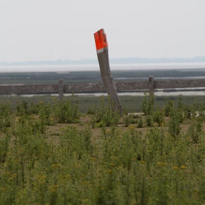 TH_Norderney_2015_07_013