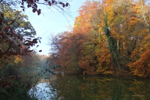 Herbst_2015_11_002