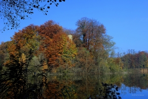 Herbst_2015_11_005