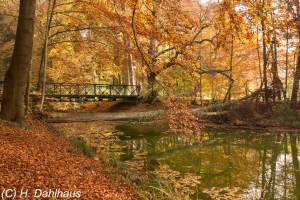 Herbst_2015_11_012