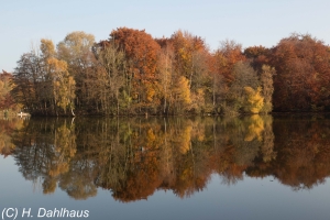 Herbst_2015_11_015