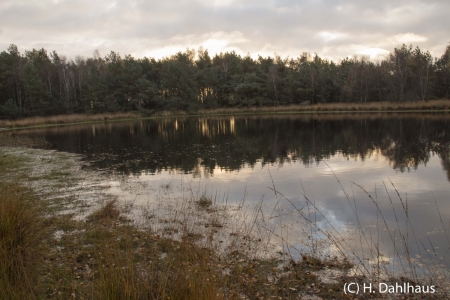 Moor_2016_11_009