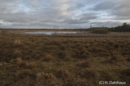 Moor_2016_11_010