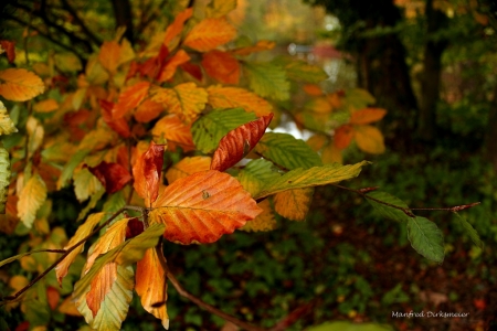 Bagno_Herbst_11-2017_002