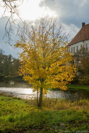 Bagno_Herbst_11-2017_014