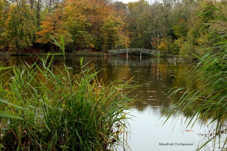 Bagno_Herbst_11-2017_022