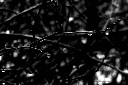 NaturaGart_12_2017_016
