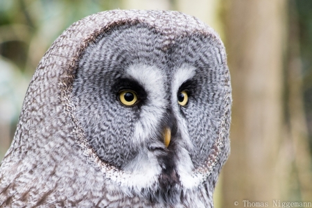 Zoo_Rheine_02_2018_001