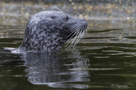 Zoo_Rheine_02_2018_023