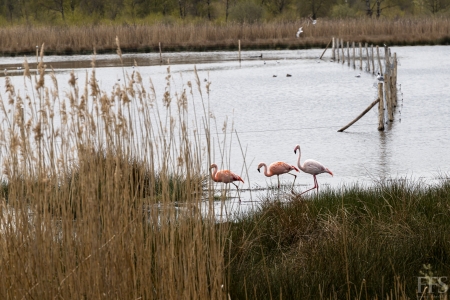 Fruehlingserwachen_04-2_2021_021