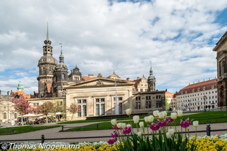 Dresden_05_2019_009