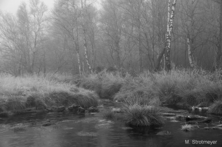 Moor_12_2019_017