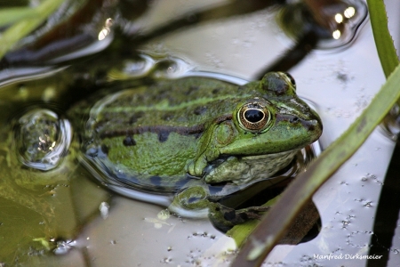 Kreislehrgarten_06_2019_012