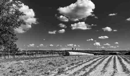 Landschaft in Schwarz-Weiß