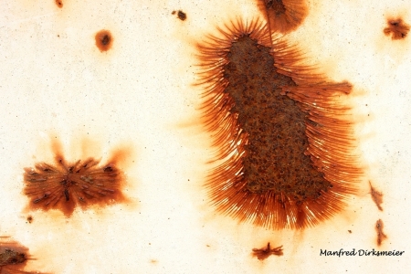 Macro_Rost_08_2020_001