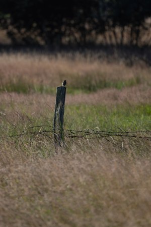 Minimalismus_010