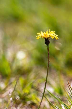 Moor_Juni_2025_007
