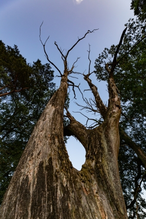 Moorlandschaften