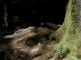 Natuerliche Strukturen
