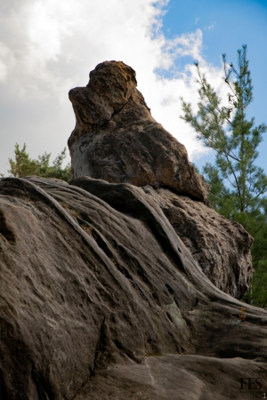 Natuerliche_Strukturen_07_2020_002