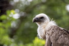 Tiere im Zoo - 2024