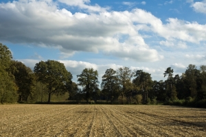 TN_Landschaft_und_Himmel_003