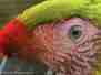 Zoo Osnabrück - Thema Augen